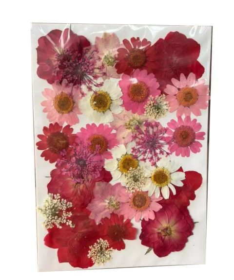 Mix Dry Flowers for Resin