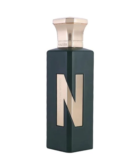 Lost In The Woods - Naseem